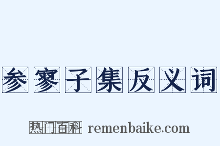 参寥子集反义词是什么意思的图片